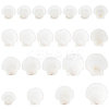 20Pcs 4 Style Natural Scallop Shells SSHEL-PH0001-23-1