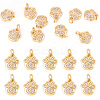 Brass Micro Pave Clear Cubic Zirconia Charms X1-RJEW-T063-38G-NF-1