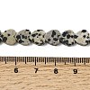 Natural Dalmatian Jasper Beads Strands G-M403-A31-03-5