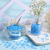 Transparent Electroplate Crushed Glass Craft GLAA-SC0001-98B-01-4