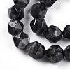 Natural Larvikite Beads Strands G-T139-8mm-51-4