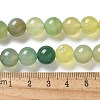 Natural Agate Beads Strands G-NH0001-G11-01-5