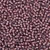 TOHO 11/0 Round Beads SEED-TR11-0305-2