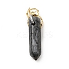 Insect Natural Labradorite Pointed Pendants G-I333-02D-2