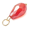 15Pcs Electroplate Glass Pendants PALLOY-JF03008-6