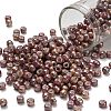 TOHO 6/0 Round Beads SEED-TR06-1203-1