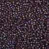 TOHO Round Seed Beads SEED-JPTR08-0166BF-2