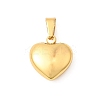 304 Stainless Steel Pendants STAS-C163-02A-G-1