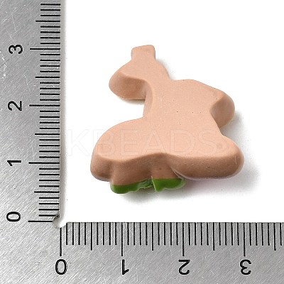 Opaque Resin Cabochons RESI-B038-01-1