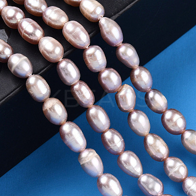 Natural Cultured Freshwater Pearl Beads Strands PEAR-N012-04Q-1