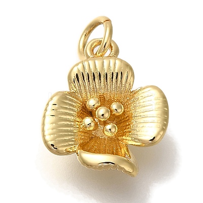 Rack Plating Brass Pendants KK-I720-57G-1