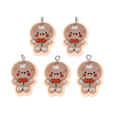 Christmas Theme Opaque Resin Pendants FIND-E025-04-1