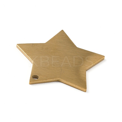 Ion Plating(IP) 304 Stainless Steel Pendants STAS-F271-04C-G-1