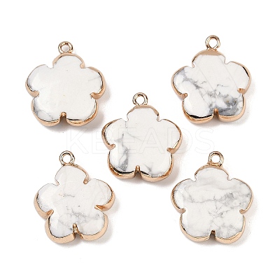 Natural Howlite Pendants G-P566-01G-13-1
