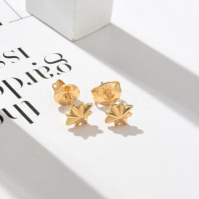 304 Stainless Steel Stud Earrings for Women LS-STAS-Z117-17G-01-1