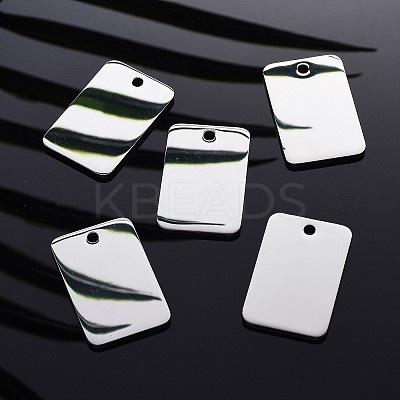 Tarnish Resistant 304 Stainless Steel Pendants LS-STAS-I140-28A-1
