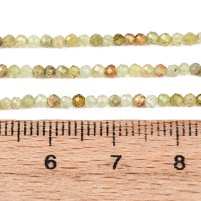 Natural Green Garnet Beads Strands G-A235-A02-02A-1