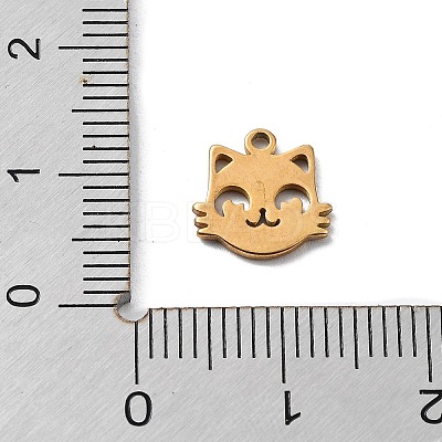 304 Stainless Steel Charms STAS-K272-01B-G-1