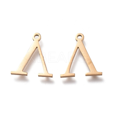 304 Stainless Steel Charms STAS-K215-24G-1