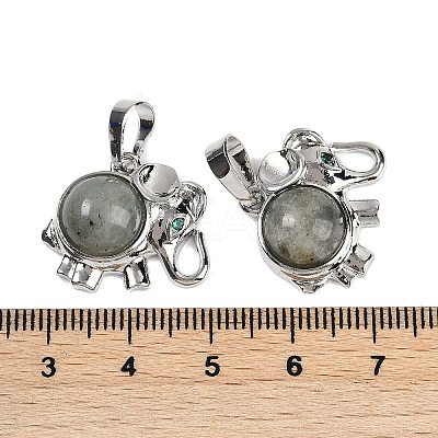 Natural Labradorite Pendants G-I374-A-P13-1