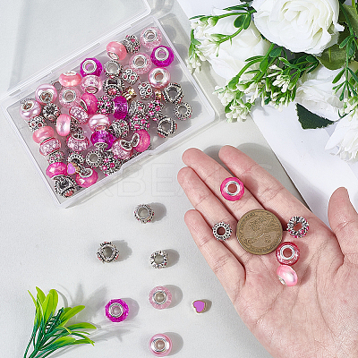 60Pcs 12 Styles Alloy Rhinestone/Enamel European Beads & Resin European Beads Kits DIY-PA0001-06C-1