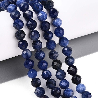 Natural Sodalite Beads Strands G-S345-6mm-26-1