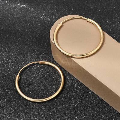 Brass Hoop Earrings EJEW-G474-01G-04-1