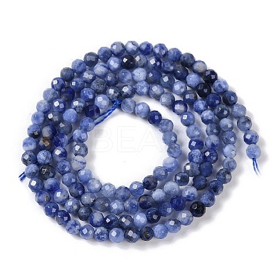 Natural Sodalite Beads Strands G-G139-A07-02-1