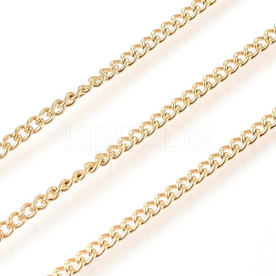 3.28 Feet 304 Stainless Steel Curb Chain X-CHS-G011-11G-03-1