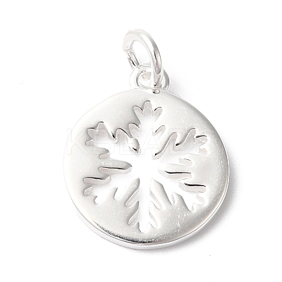 925 Sterling Silver Charms STER-M120-01E-S-1
