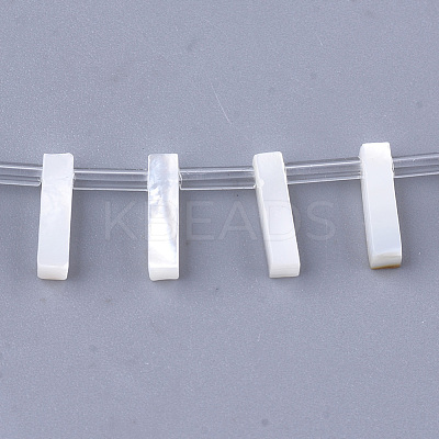 Natural Sea Shell Beads X-SHEL-T012-60I-1