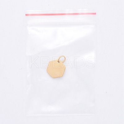 201 Stainless Steel Charms STAS-S105-T626-2-1