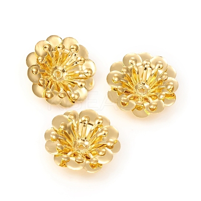 Multi-Petal Brass Bead Caps KK-I669-14G-1