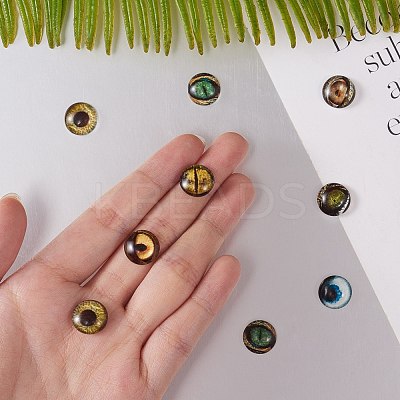Glass Cabochons GLAA-SZ0001-06-1
