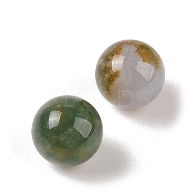 Natural Indian Agate No Hole Sphere Beads G-K353-04A-09-1