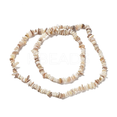 Natural Freshwater Shell Beads Strands X-G-M205-85B-1