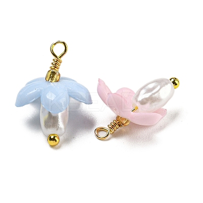 ABS Plastic Imitation Pearl Pendants KK-C046-04-1