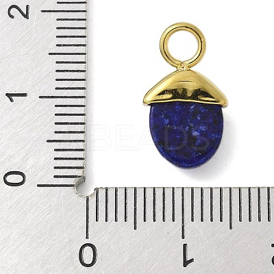 Dyed Natural Lapis Lazuli Pendants LS-STAS-L277-07G-06-1