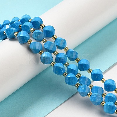 Dyed Natural Howlite Beads Strands G-G023-B01-02A-1
