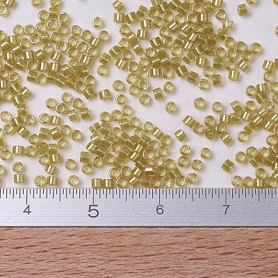 MIYUKI Delica Beads X-SEED-J020-DB0911-1