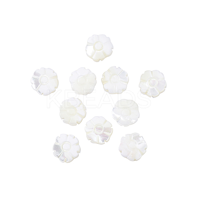 Natural Shell Beads Strands SSHEL-CJ0001-09-1