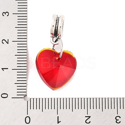Large Hole Alloy European Dangle Charms PALLOY-JF00041-05-1