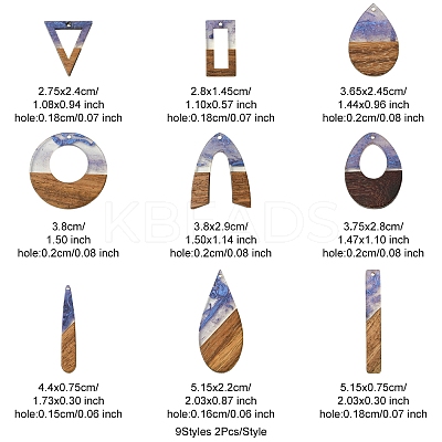 18Pcs 9 Styles Transparent Resin & Walnut Wood Pendants RESI-FS0001-78-1