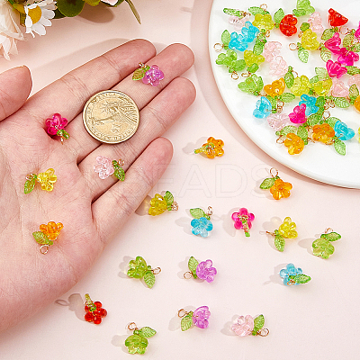 100Pcs Transparent Acrylic Charms PALLOY-DC00041-1