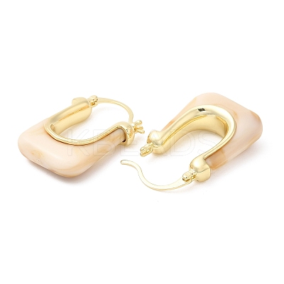 Real 16K Gold Plated Brass Hoop Earrings EJEW-A102-01G-03-1
