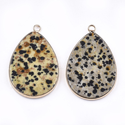 Natural Dalmatian Jasper Pendants G-T112-22C-1