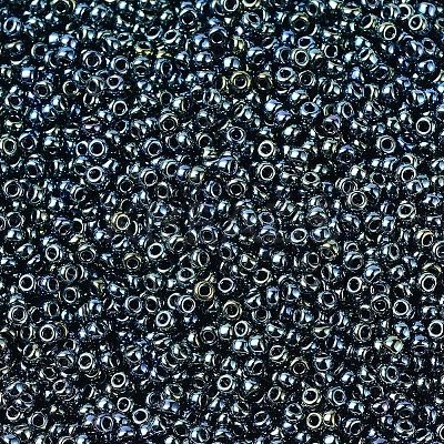 MIYUKI Round Rocailles Beads X-SEED-G007-RR0456-1