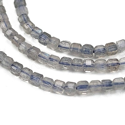 Natural Labradorite Beads Strands G-L597-A01-01-1
