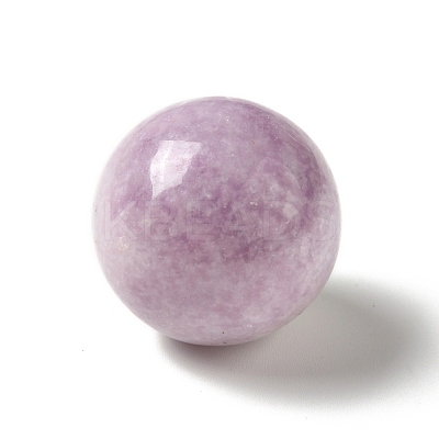 Natural Lepidolite/Purple Mica Stone Beads G-A206-02-09-1