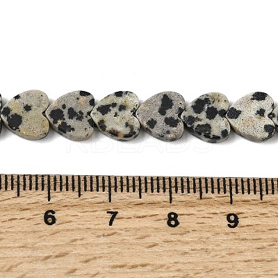 Natural Dalmatian Jasper Beads Strands G-M403-A31-03-1